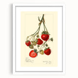 Abstract art print featuring assorted fruits in vibrant colors on a white framed mat, suitable for dining room decor.
