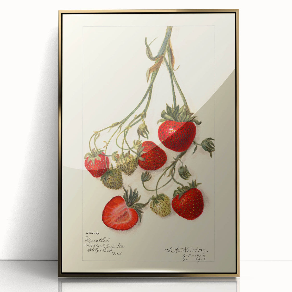 Mid-century modernist style large art print of colorful fruits on a gold-framed acrylic, ideal for modern kitchen decor.