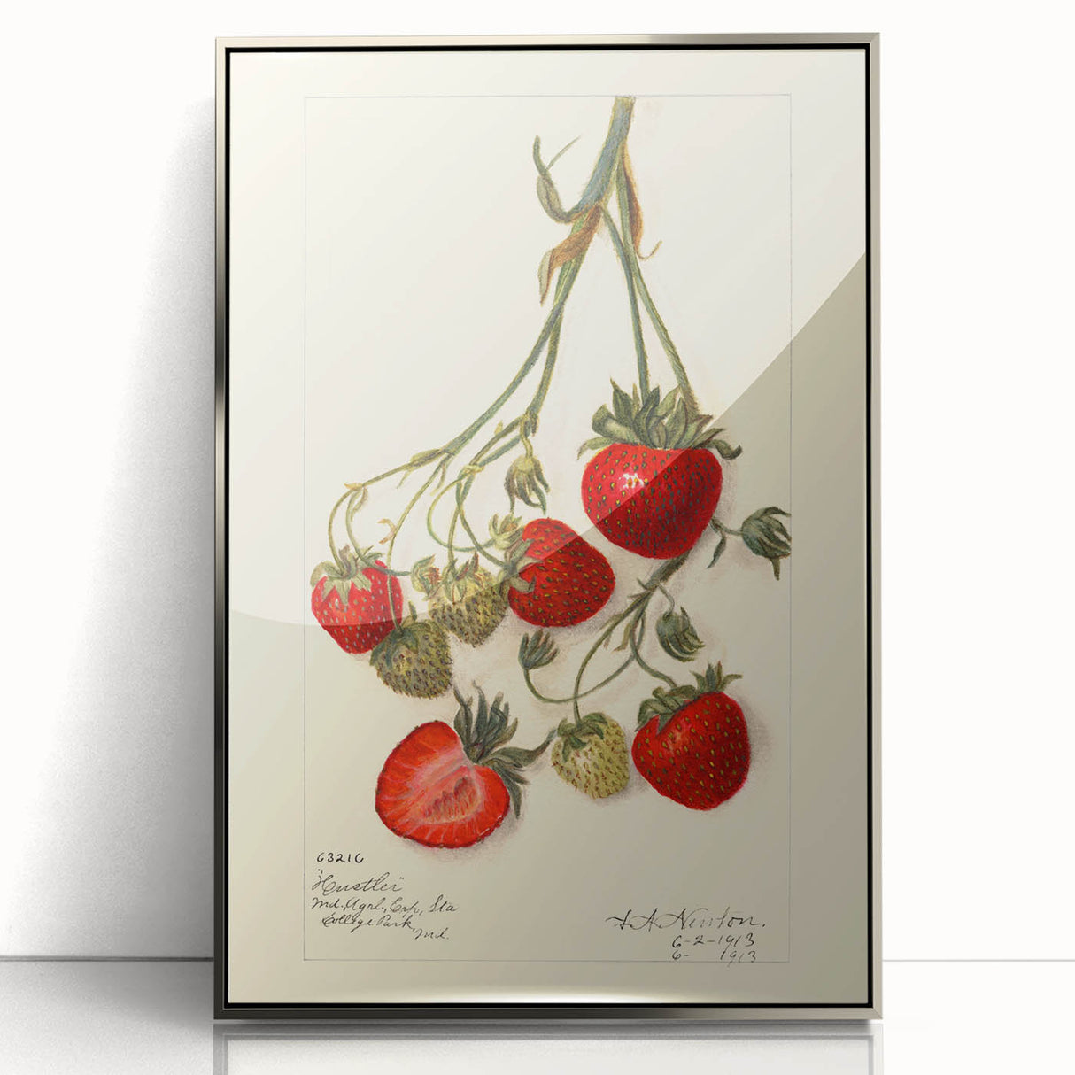 Mid-century modernist art featuring assorted fruits in bold colors on a silver-framed acrylic print.