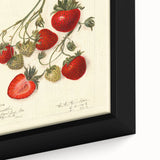 Extra large black wall art on canvas featuring a textured, colorful fruit design, ideal for living room decor.
