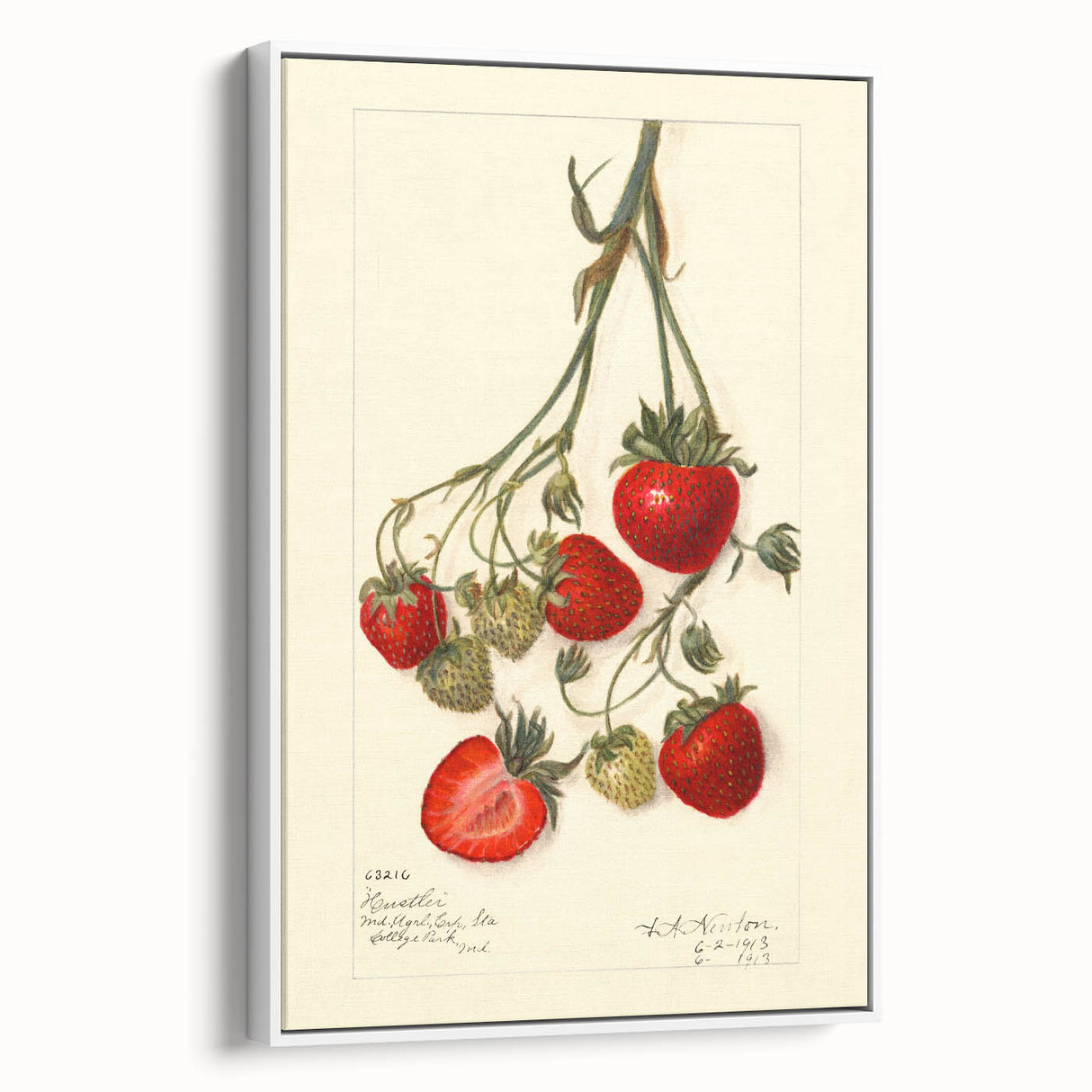 Vintage poster art of colorful fruits on a white framed canvas, ideal for living room decor.