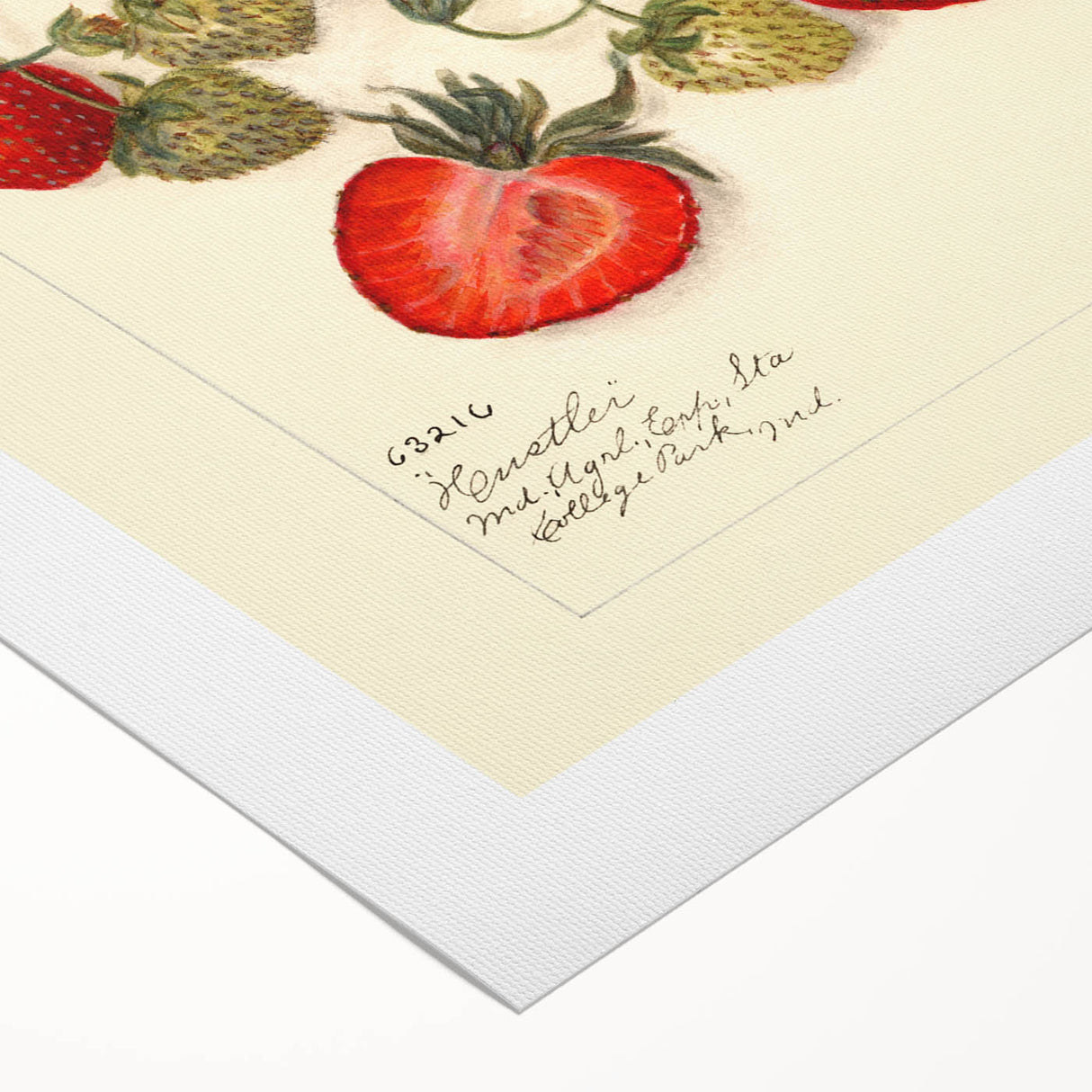 Art deco poster featuring an assortment of vibrant fruits on rolled canvas, ideal for dining room wall art.