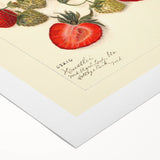 Art deco poster featuring an assortment of vibrant fruits on rolled canvas, ideal for dining room wall art.