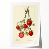 Art wall depicting an array of fruits in vibrant colors on a rolled canvas, ideal for dining room decor.