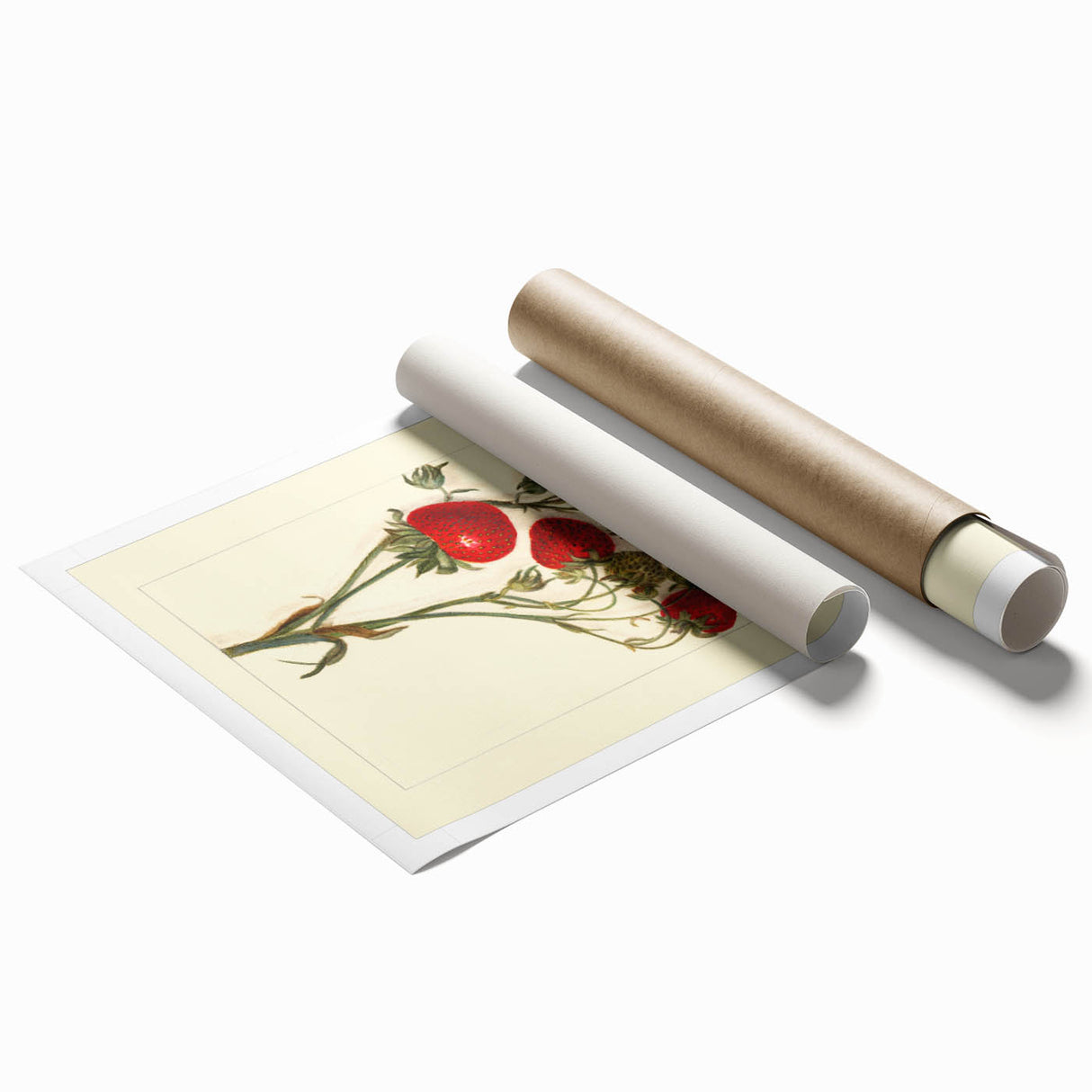 Rolled canvas print featuring a detailed floral arrangement in soft pastel shades.