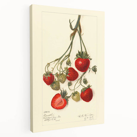 A canvas print featuring a variety of colorful fruits, ideal for kitchen wall art.