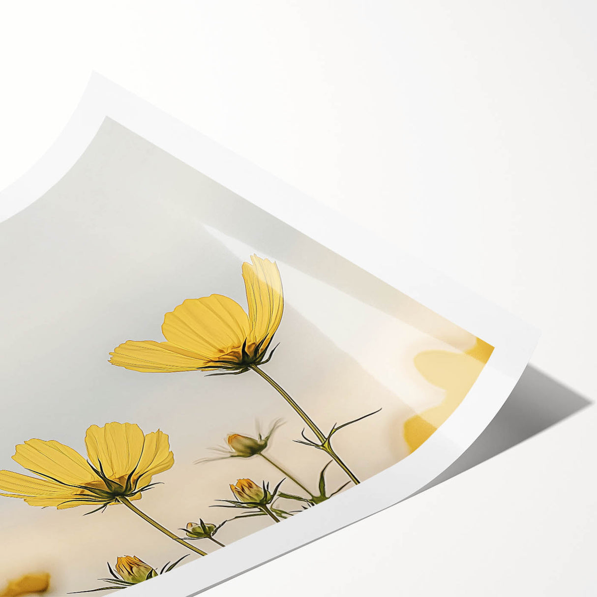 Extra large wall art featuring line art flowers in black and white on a rolled print, ideal for large living room decor.