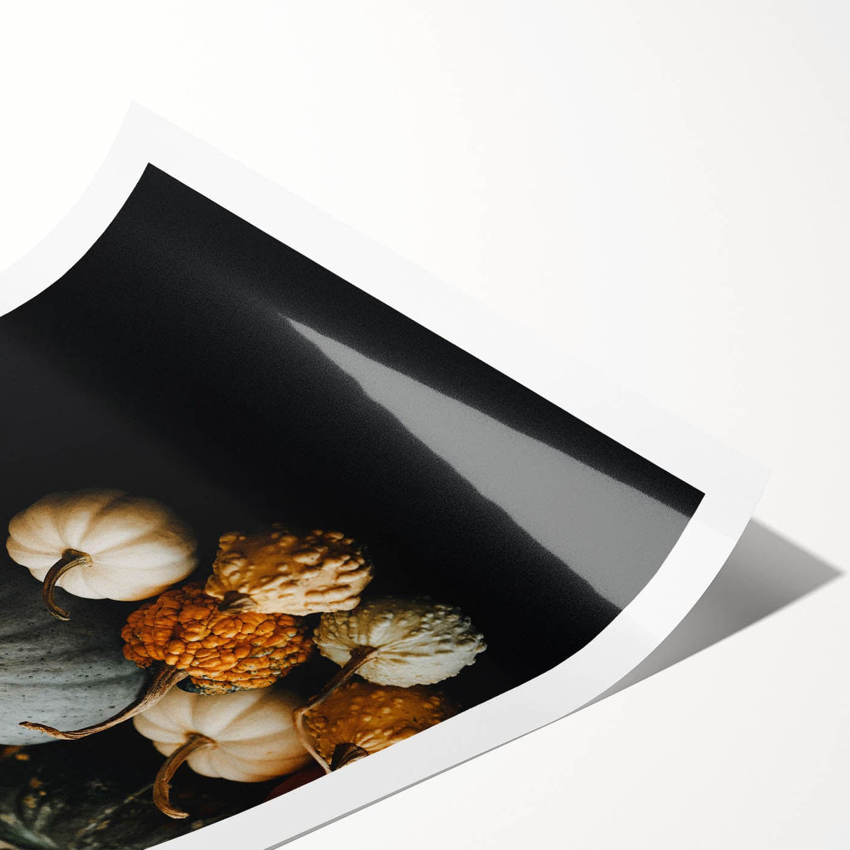Extra large wall art featuring line art flowers in muted autumnal colors on rolled canvas, ideal for large living room decor.