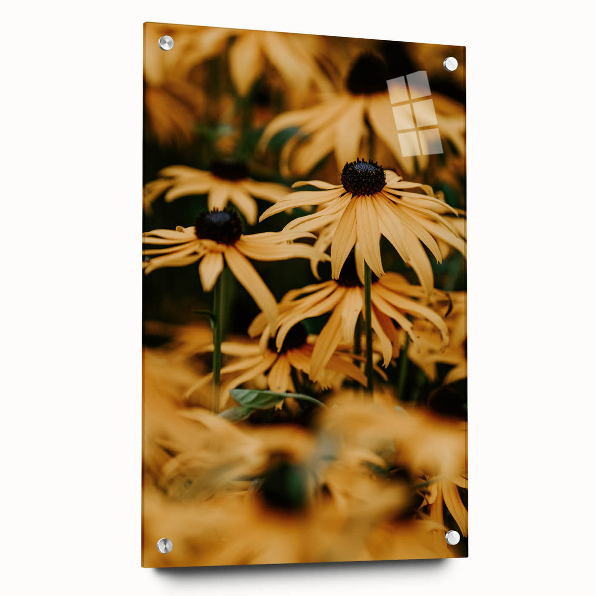 Large abstract wall art on acrylic glass depicting vibrant spring colors, ideal for bedroom or dining room decor.