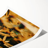 Extra large rolled print depicting line art flowers in black on white, ideal for large living room wall art.