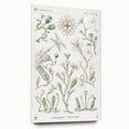 Modern Wall Art - Intricate Botanical Illustration in Elegant Green Hues