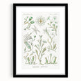 Modern Wall Art - Intricate Botanical Illustration in Elegant Green Hues