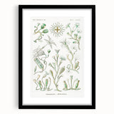 Modern Wall Art - Intricate Botanical Illustration in Elegant Green Hues