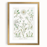 Modern Wall Art - Intricate Botanical Illustration in Elegant Green Hues