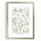 Modern Wall Art - Intricate Botanical Illustration in Elegant Green Hues