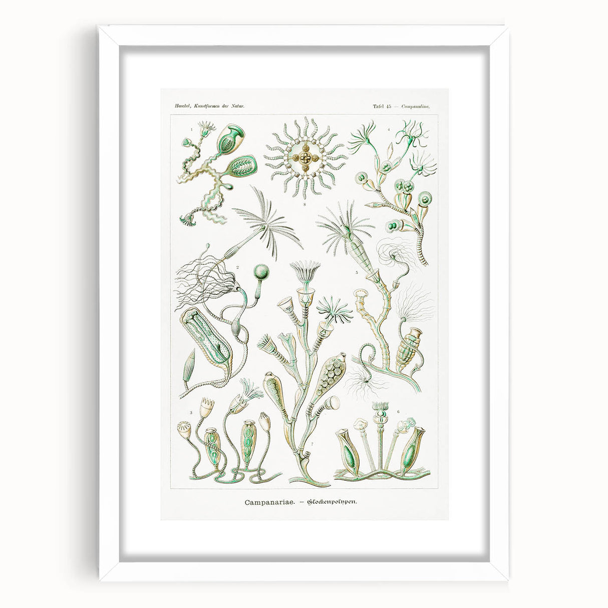 Modern Wall Art - Intricate Botanical Illustration in Elegant Green Hues