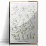 Modern Wall Art - Intricate Botanical Illustration in Elegant Green Hues