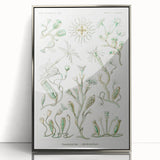 Modern Wall Art - Intricate Botanical Illustration in Elegant Green Hues