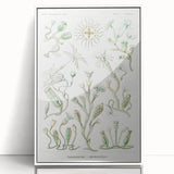 Modern Wall Art - Intricate Botanical Illustration in Elegant Green Hues