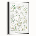 Modern Wall Art - Intricate Botanical Illustration in Elegant Green Hues