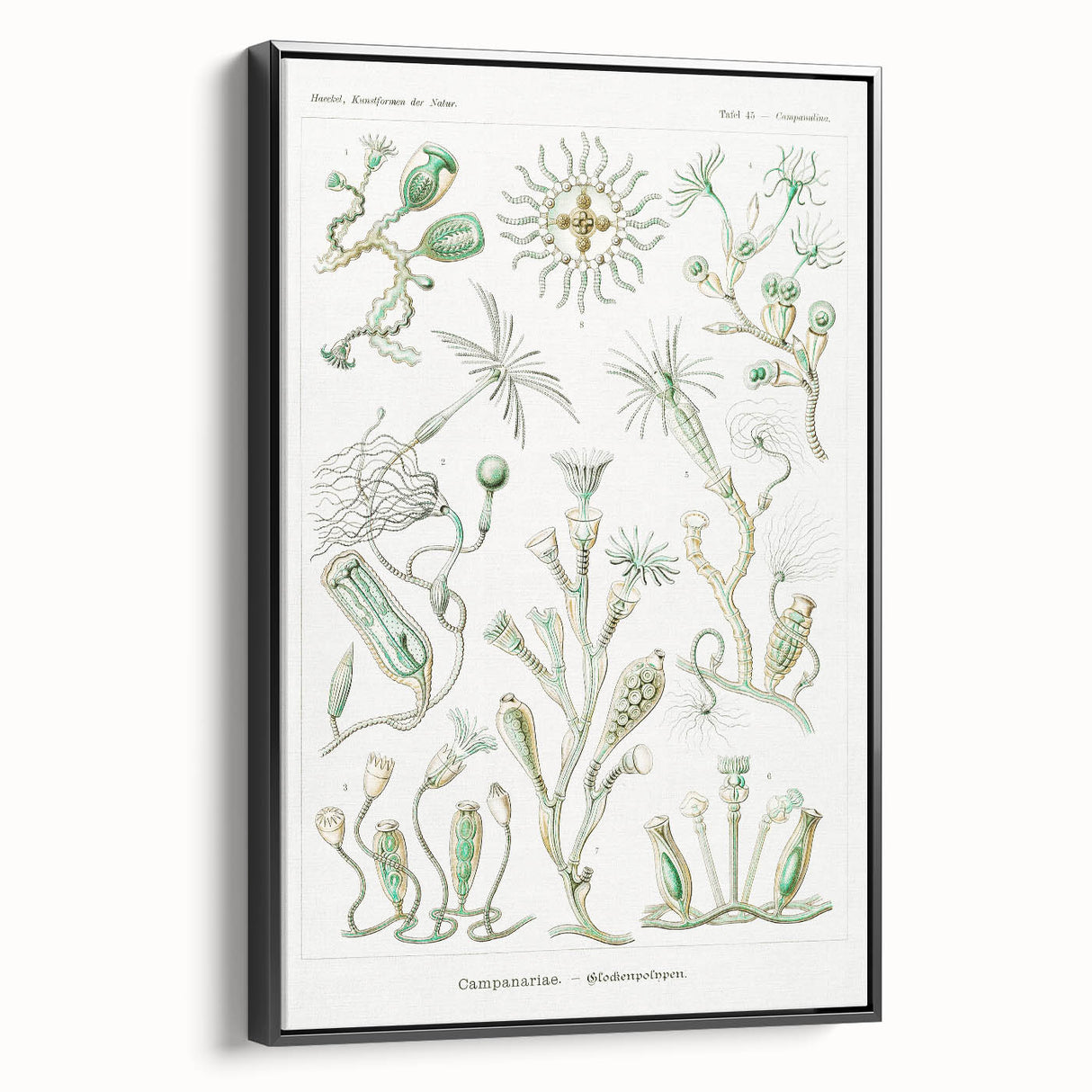Modern Wall Art - Intricate Botanical Illustration in Elegant Green Hues
