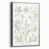 Modern Wall Art - Intricate Botanical Illustration in Elegant Green Hues