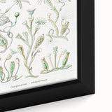 Modern Wall Art - Intricate Botanical Illustration in Elegant Green Hues