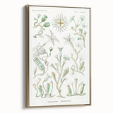 Modern Wall Art - Intricate Botanical Illustration in Elegant Green Hues