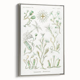Modern Wall Art - Intricate Botanical Illustration in Elegant Green Hues