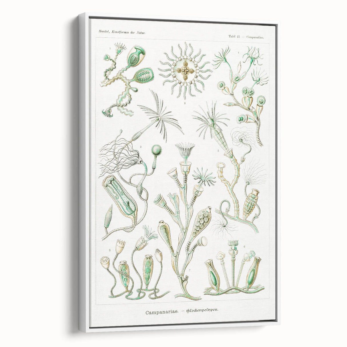 Modern Wall Art - Intricate Botanical Illustration in Elegant Green Hues