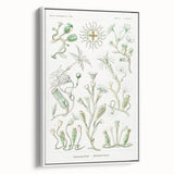 Modern Wall Art - Intricate Botanical Illustration in Elegant Green Hues