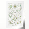 Modern Wall Art - Intricate Botanical Illustration in Elegant Green Hues