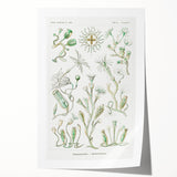 Modern Wall Art - Intricate Botanical Illustration in Elegant Green Hues