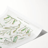 Modern Wall Art - Intricate Botanical Illustration in Elegant Green Hues