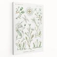 Modern Wall Art - Intricate Botanical Illustration in Elegant Green Hues