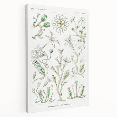 Modern Wall Art - Intricate Botanical Illustration in Elegant Green Hues