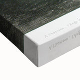 Modern Wall Art - Mysterious Angelic Vision in Monochrome Design