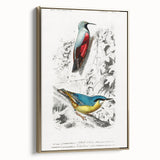 Romanticism Art: Vibrant Bird Illustration Canvas Print