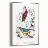 Romanticism Art: Vibrant Bird Illustration Canvas Print