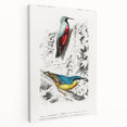 Romanticism Art: Vibrant Bird Illustration Canvas Print