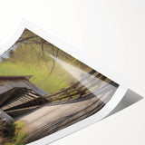 Extra large wall art featuring line art flowers in monochrome, rolled print format, ideal for large living room decor.