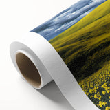 Vibrant rolled canvas depicting a serene landscape of lush green fields under a clear blue sky, elegantly packaged in a protective cardboard tube.