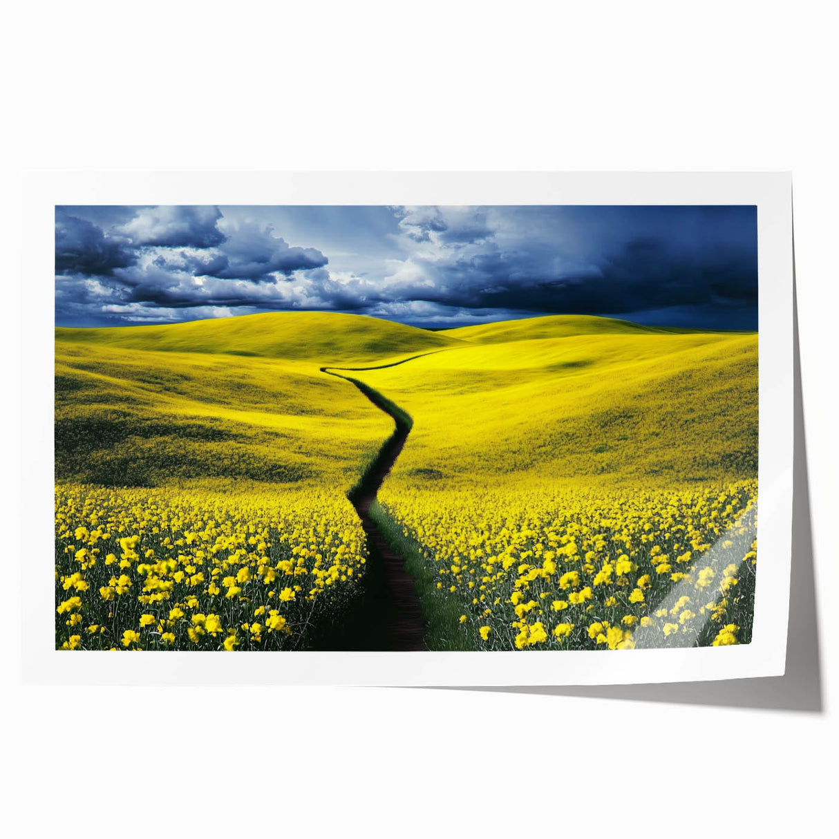 Vibrant rolled canvas print showcasing a serene landscape with lush green fields under a bright blue sky, elegantly packaged in a protective cardboard tube.