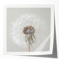 Extra large glossy photo print of vibrant, colorful florals on a white background.