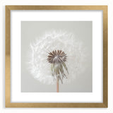 Extra large abstract art print featuring textured floral designs in muted gold tones, framed with a gold mat.