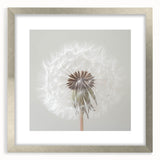 Textured art print of abstract florals in silver frame, using soft gray and white tones, suitable for bedroom decor.