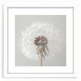 Abstract art print featuring close-up floral designs in soft pastel shades on a white framed canvas.