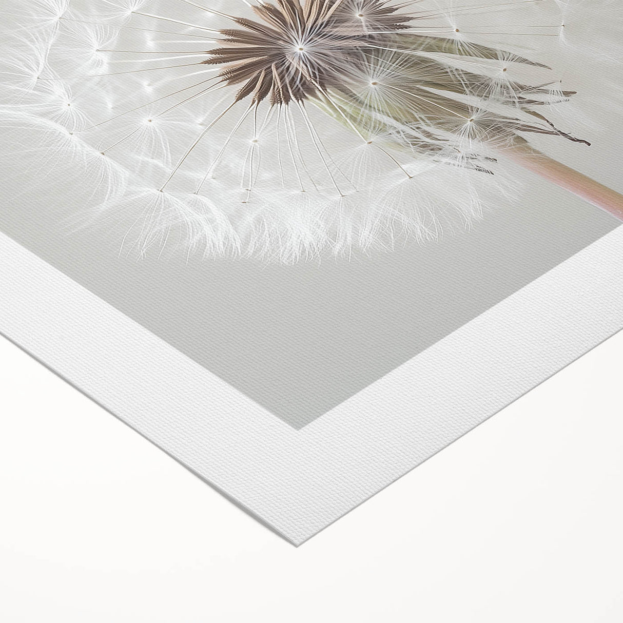 Art deco poster featuring close-up floral designs in soft pastel colors on rolled canvas, ideal for dining room wall art.