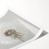 Extra large rolled print featuring line art flowers in black and white, ideal for large living room wall art.