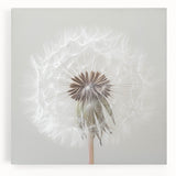 Large stretched canvas featuring a close-up of florals in black and white, ideal for kitchen wall art.